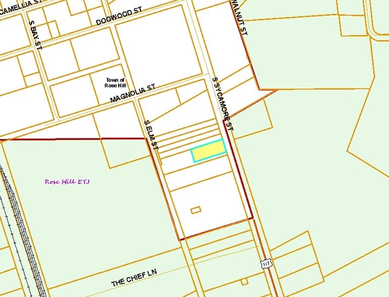 578 S Sycamore St, Rose Hill, NC à louer - Plan cadastral – Image 2 sur 4