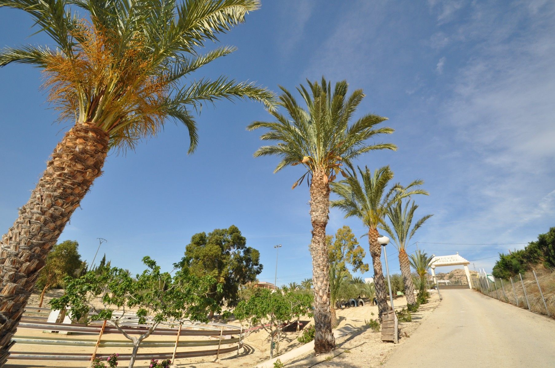 Local commercial dans Abanilla, Murcia à vendre Photo de l’immeuble– Image 1 sur 51