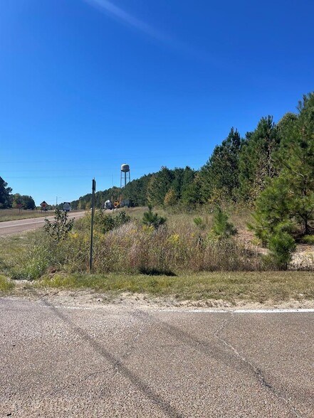 0000 Veterans Drive & 22 North, Huntingdon, TN à vendre - Photo de l’immeuble – Image 2 sur 6