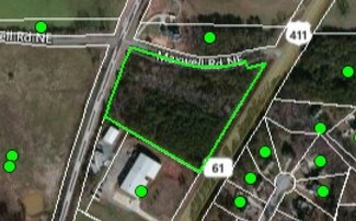 Plus de détails pour Hwy 411 & Maxwell Rd, Rydal, GA - Terrain à vendre