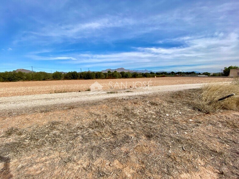 Terrain dans Aspe, Alicante à vendre - Aérien – Image 3 sur 5