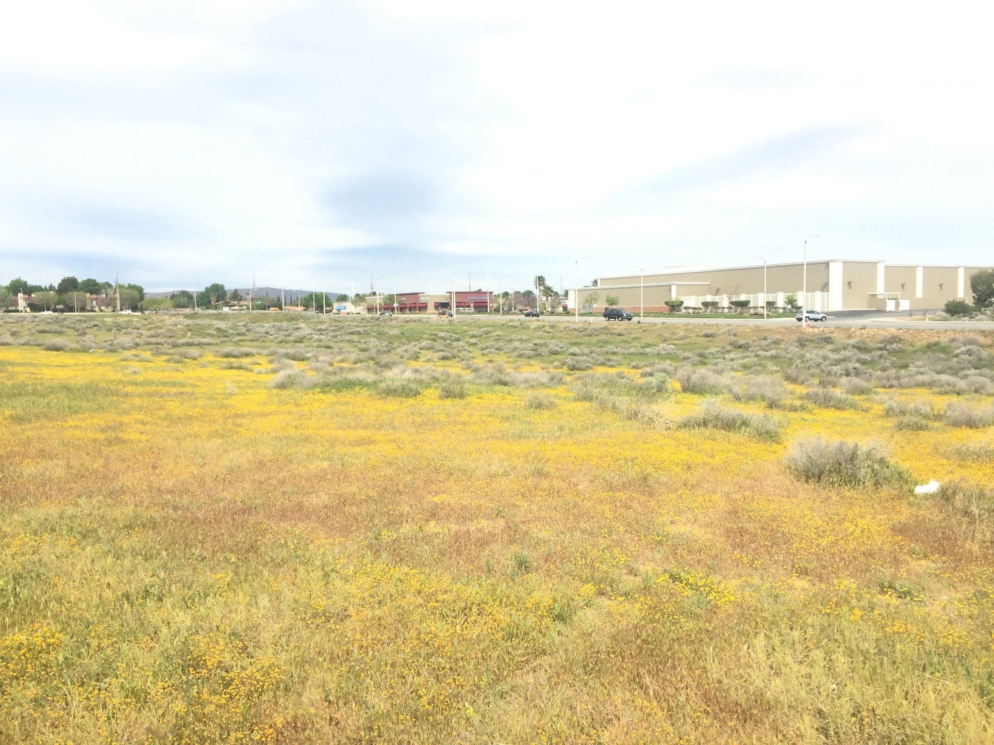 SWC Technology Dr. & Trade Center, Palmdale, CA à vendre Photo principale– Image 1 sur 5