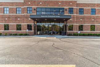 Plus de détails pour 1259 Rickert Dr, Naperville, IL - Bureau/Médical à louer