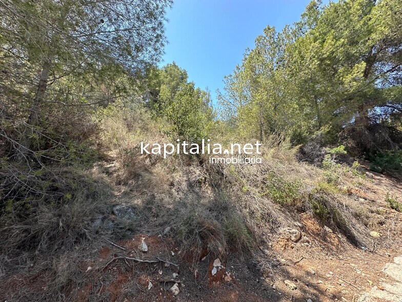 Terrain dans Alberic, Valencia à vendre - Photo principale – Image 3 sur 5