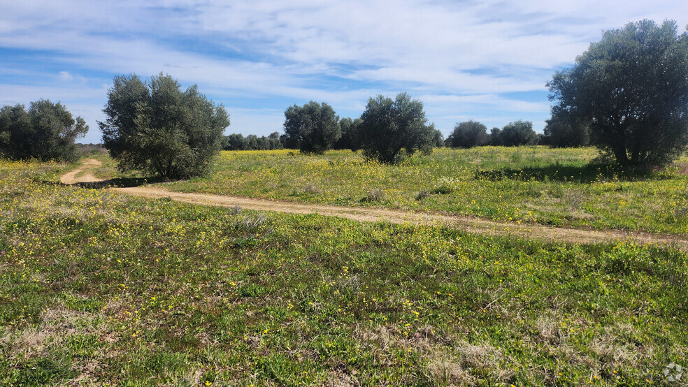 Terrain dans Hormigos, Toledo à vendre - Photo de l’immeuble – Image 2 sur 21
