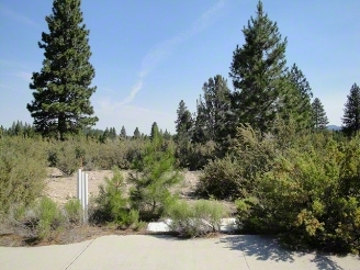 0 Vista Dr, Weed, CA à vendre Photo principale– Image 1 sur 2
