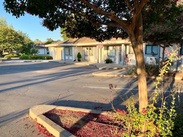 3724 Lone Tree Way, Antioch, CA à vendre - Photo de l’immeuble – Image 3 sur 29