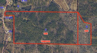 Plus de détails pour County Road 4141, New Site, MS - Terrain à vendre