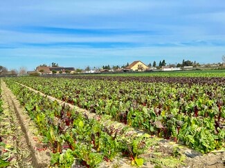 Plus de détails pour 320 Riverside Rd, Hollister, CA - Terrain à vendre