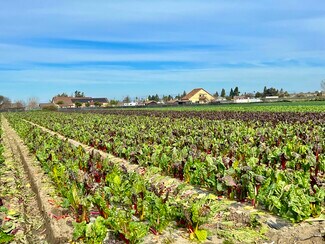 Plus de détails pour 320 Riverside Rd, Hollister, CA - Terrain à vendre