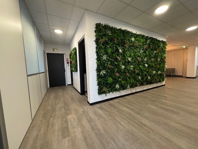 31 Cours Des Juilliottes, Maisons-Alfort à louer - Photo de l’immeuble – Image 3 sur 4