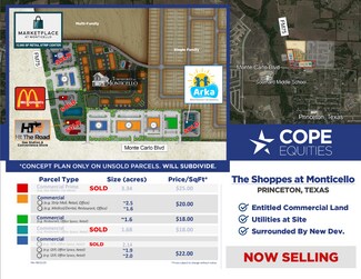 Plus de détails pour E.Monte Carlo & Longneck Rd, Princeton, TX - Terrain à vendre