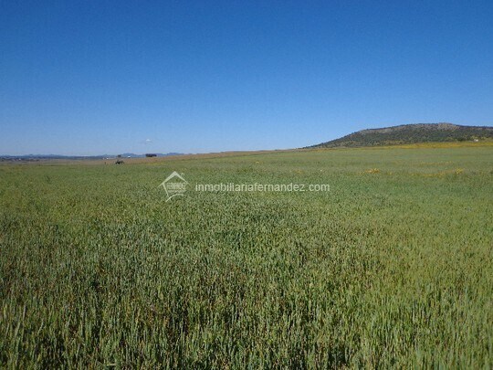 Terrain dans Sierra de Fuentes, Cáceres à vendre - Aérien – Image 2 sur 3