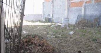 Plaça Bandes de Música de la Comunitat Valenciana, 77, València, Valencia à vendre - Photo de la construction – Image 2 sur 5