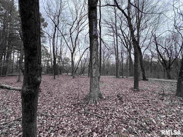 449 Pine Ln, Murphysboro, IL à vendre Plan de site– Image 1 sur 4