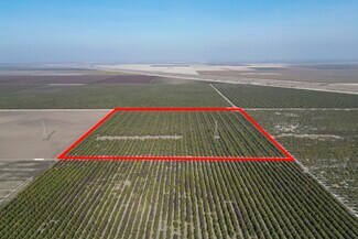 Plus de détails pour W. Dinuba avenue, San Joaquin, CA - Terrain à vendre