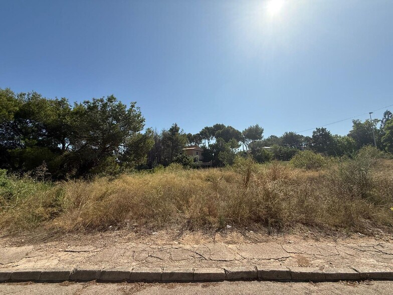 Terrain dans Alberic, Valencia à vendre - Photo principale – Image 2 sur 8