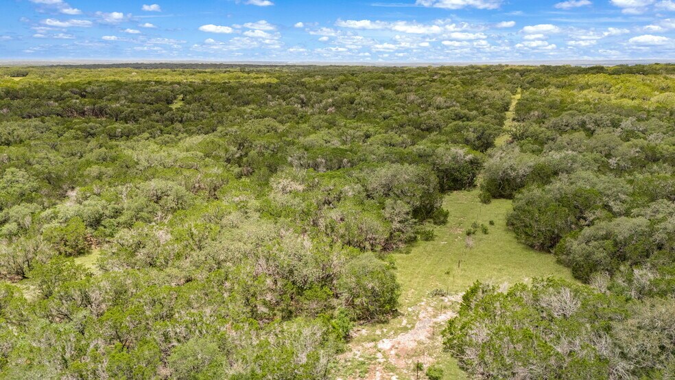 4601 County Road 251, Hondo, TX à vendre - Photo de l’immeuble – Image 3 sur 45