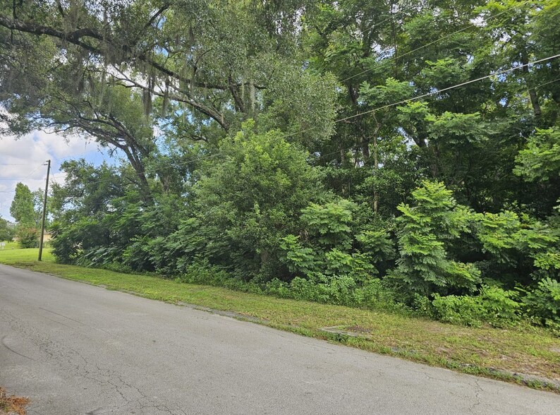 N Carpenter Ave, Orange City, FL à vendre - Autre – Image 2 sur 2