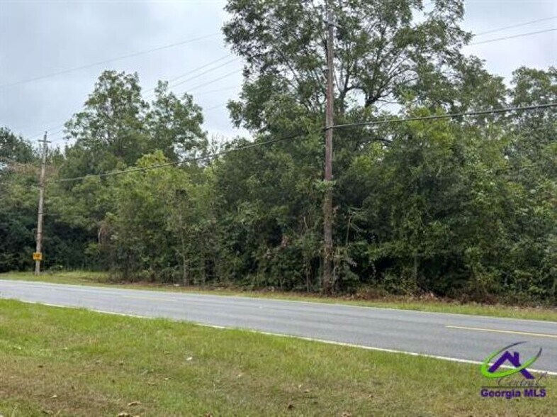 Lot 7 & 8 Taylors Mill Road, Fort Valley, GA à vendre - Photo de l’immeuble – Image 3 sur 6