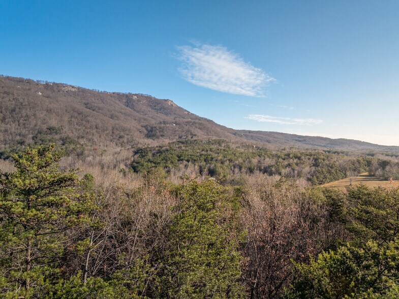 00 Pittman Rd, Landrum, SC à vendre - Photo de l’immeuble – Image 3 sur 25