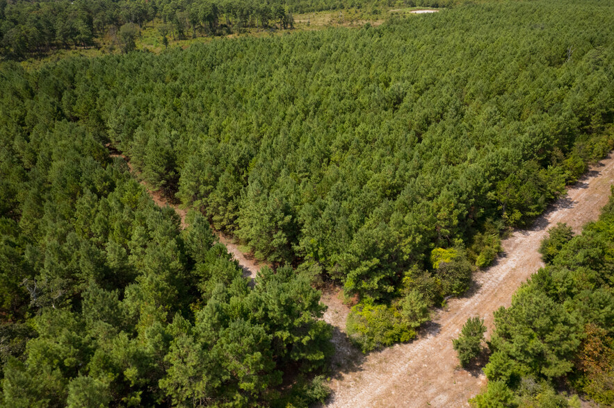 000 CR304, Navasota, TX à vendre - Photo de l’immeuble – Image 2 sur 9