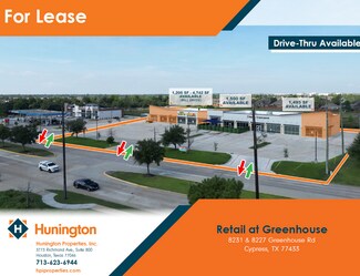 Plus de détails pour 8227 Greenhouse Rd, Cypress, TX - Local commercial à louer