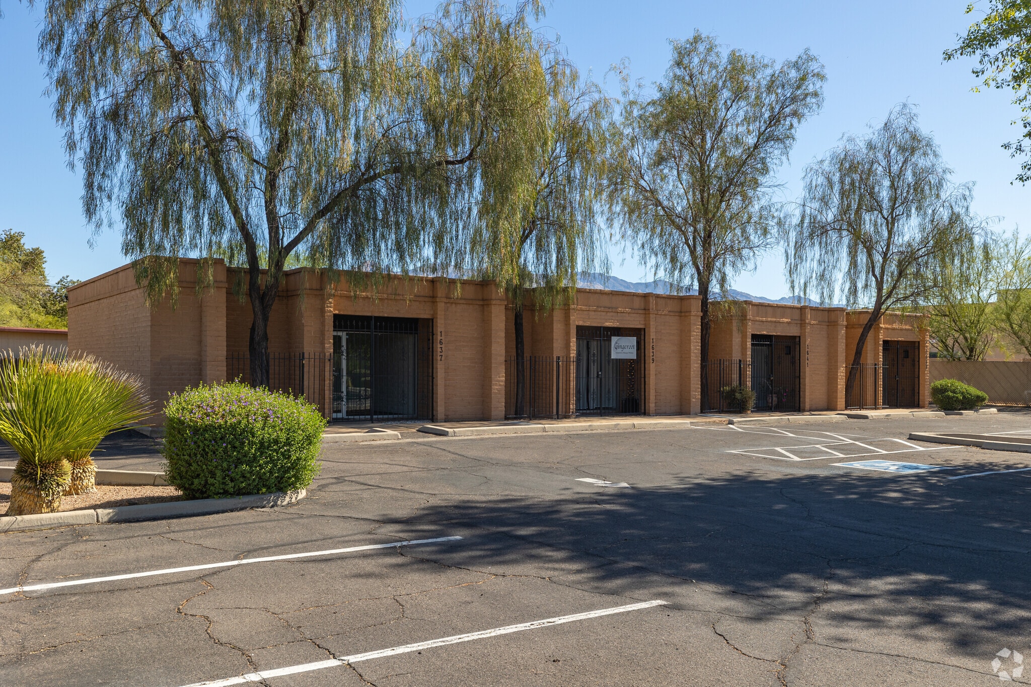 1637-1643 E Prince Rd, Tucson, AZ à louer Photo principale– Image 1 sur 13