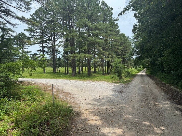 3309 NC 421, Marble Falls, AR à vendre - Photo de l’immeuble – Image 2 sur 22