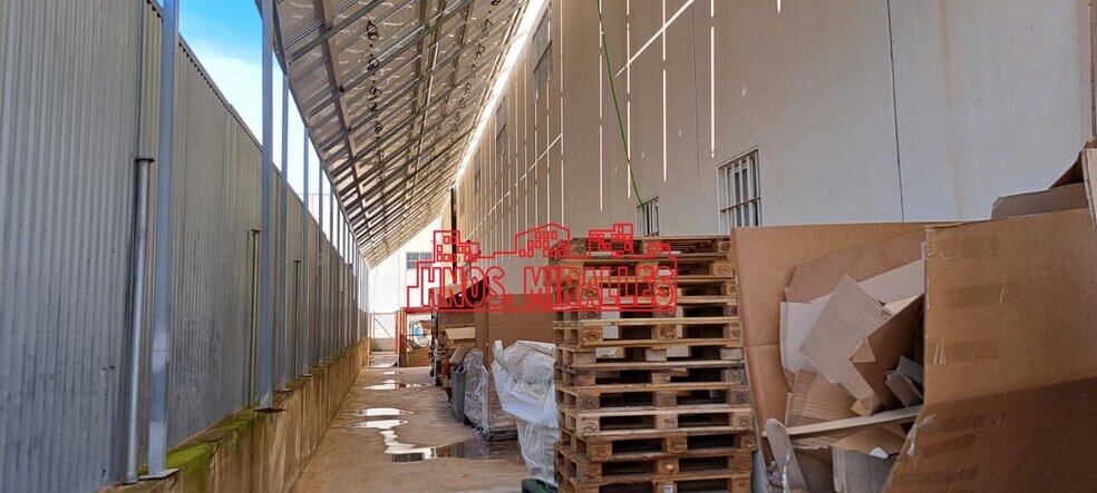 Industriel/Logistique dans Almoradí, Alicante à vendre - Photo de l’immeuble – Image 3 sur 23