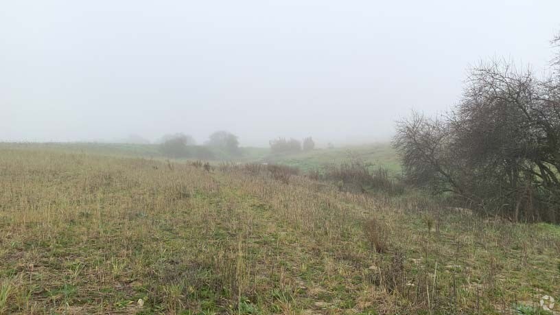 Polígono 12, Villaviciosa de Odón, Madrid à vendre - Photo de l’immeuble – Image 3 sur 14