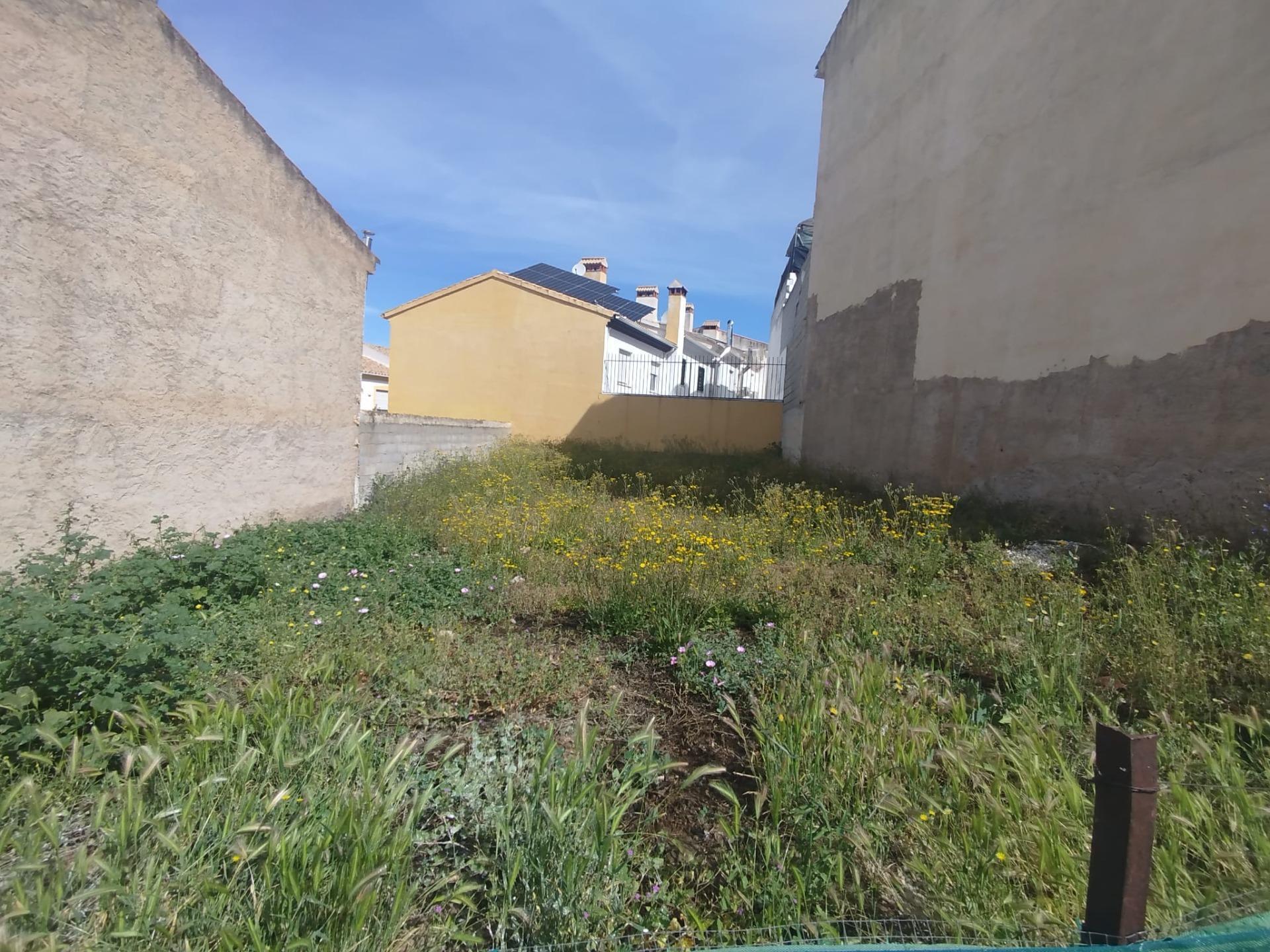 Terrain dans Güevéjar, Granada à vendre Photo de l’immeuble– Image 1 sur 9