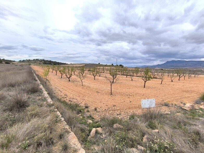 Terrain dans Yecla, Murcia à vendre - Aérien – Image 1 sur 3