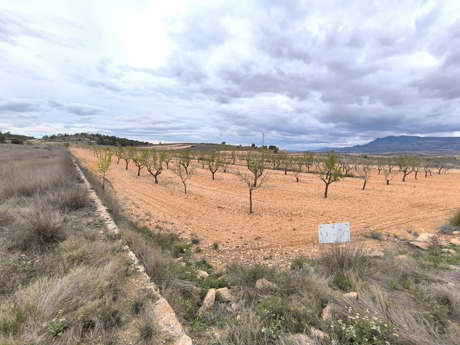 Terrain dans Yecla, Murcia à vendre Aérien– Image 1 sur 4