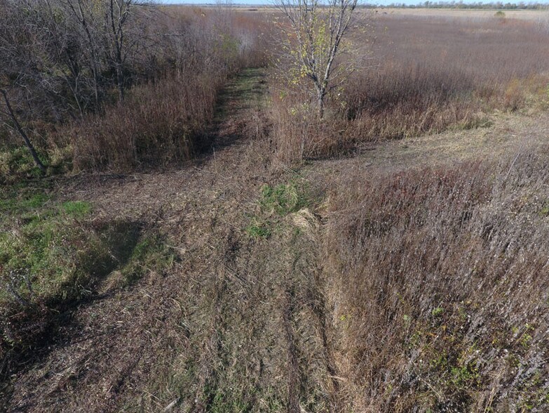 60 Acres +/- Wetland, Richardson County, NE NE, Rulo, NE à vendre - Photo de l’immeuble – Image 2 sur 14