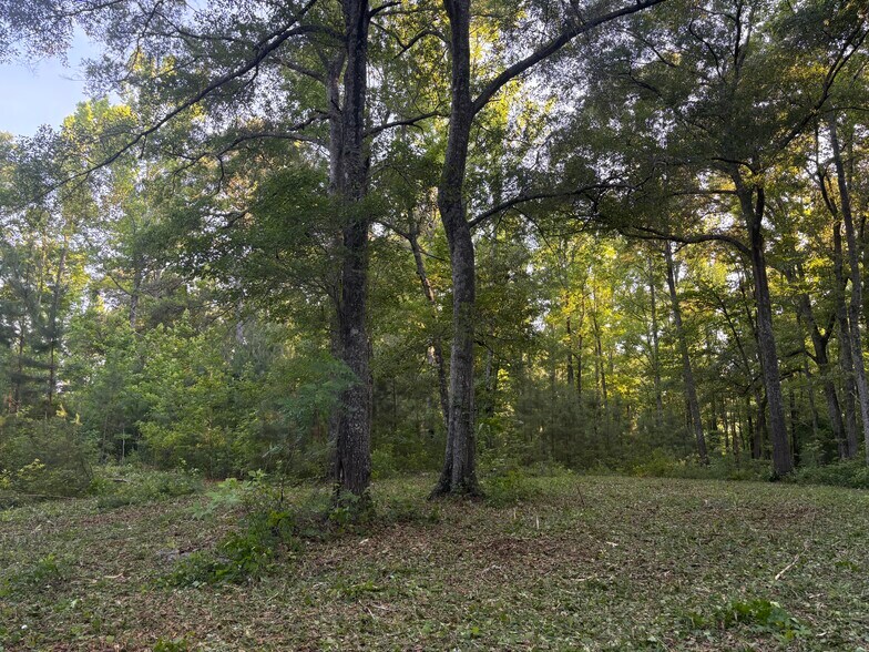 33600 AL Highway 22, Verbena, AL à vendre - Photo de l’immeuble – Image 2 sur 17