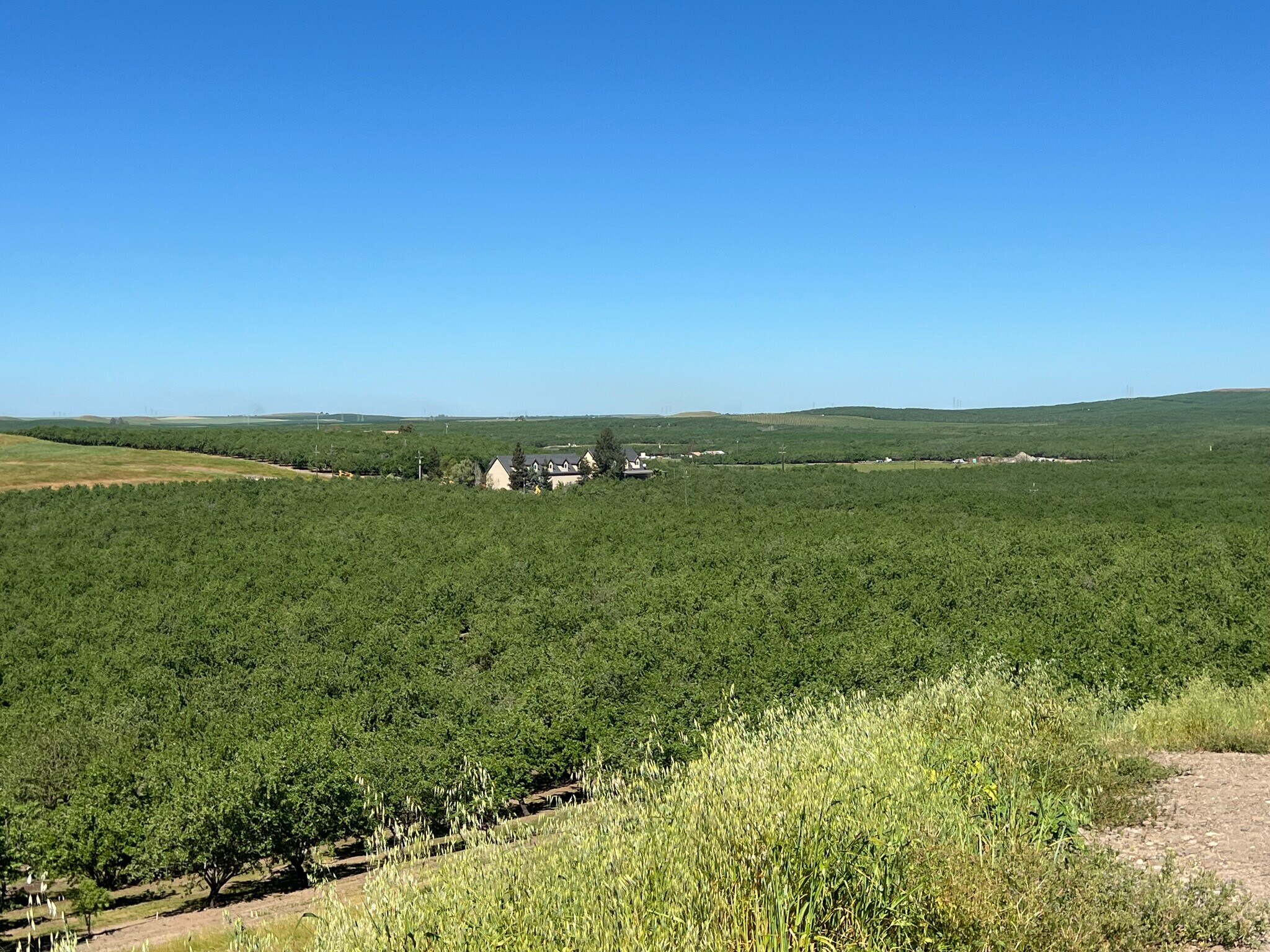 6000 Tim Bell Rd, Oakdale, CA à vendre Photo principale– Image 1 sur 13