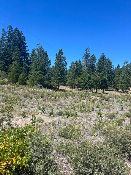 0 Truck Village Dr, Mount Shasta, CA à vendre - Plan de site – Image 3 sur 3