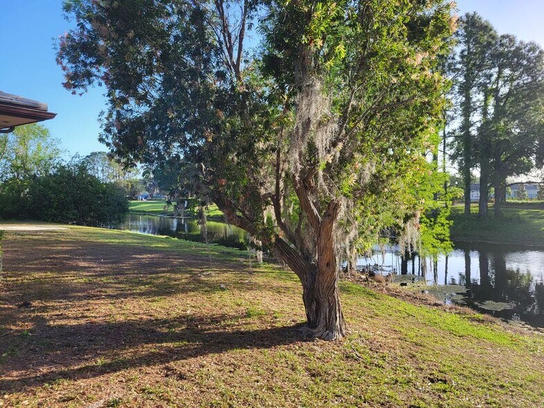815 Cypress Village Blvd, Sun City Center, FL à louer - Photo de l’immeuble – Image 3 sur 9