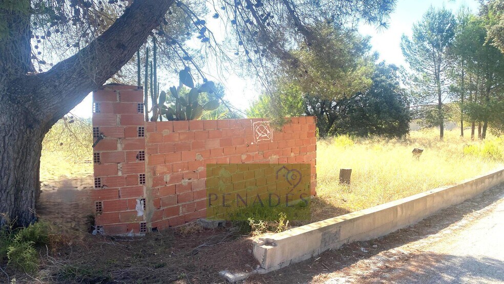 Terrain dans Ontinyent, Valencia à vendre - Photo principale – Image 2 sur 5