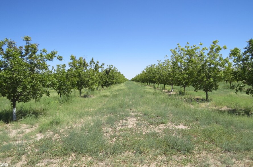 0 Hwy 38, Cotton City, NM à vendre - Aérien – Image 2 sur 26