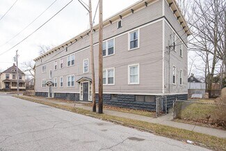 Plus de détails pour 1156 Carl Ave, Cleveland, OH - Logement à vendre