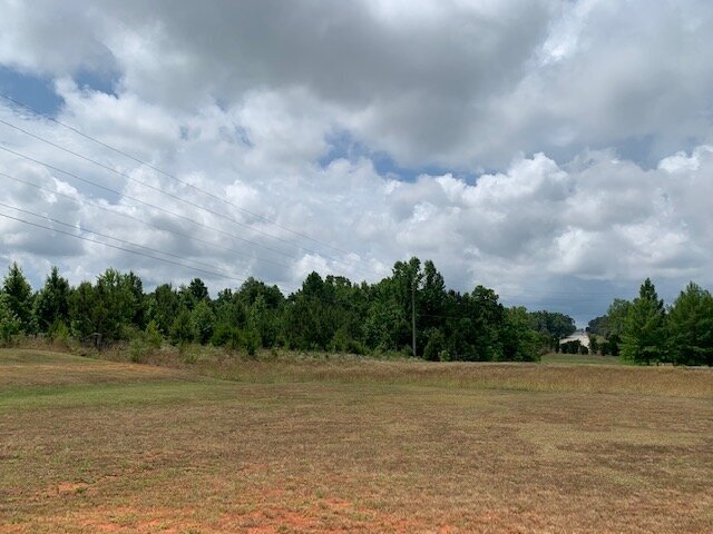 15414 Old Highway 5 S, Grove Hill, AL à vendre - Photo de l’immeuble – Image 2 sur 14