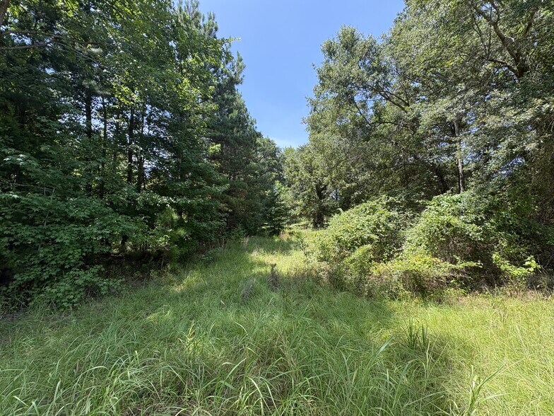 17688 Fisherman's dr, Troup, TX à vendre - Autre – Image 2 sur 6