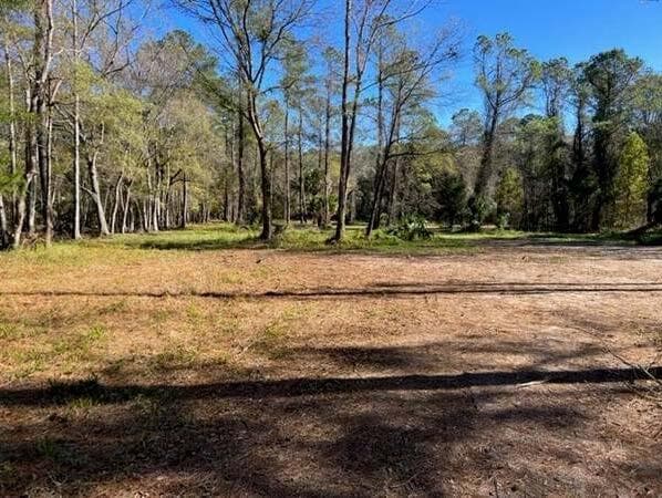 169 Hutchinson Rd, Jacksonville, FL à vendre - Photo principale – Image 1 sur 3