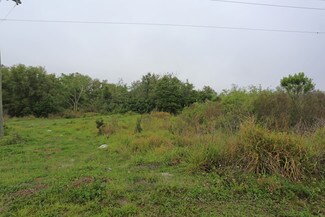 Plus de détails pour 33224 Highway 27, Haines City, FL - Terrain à louer