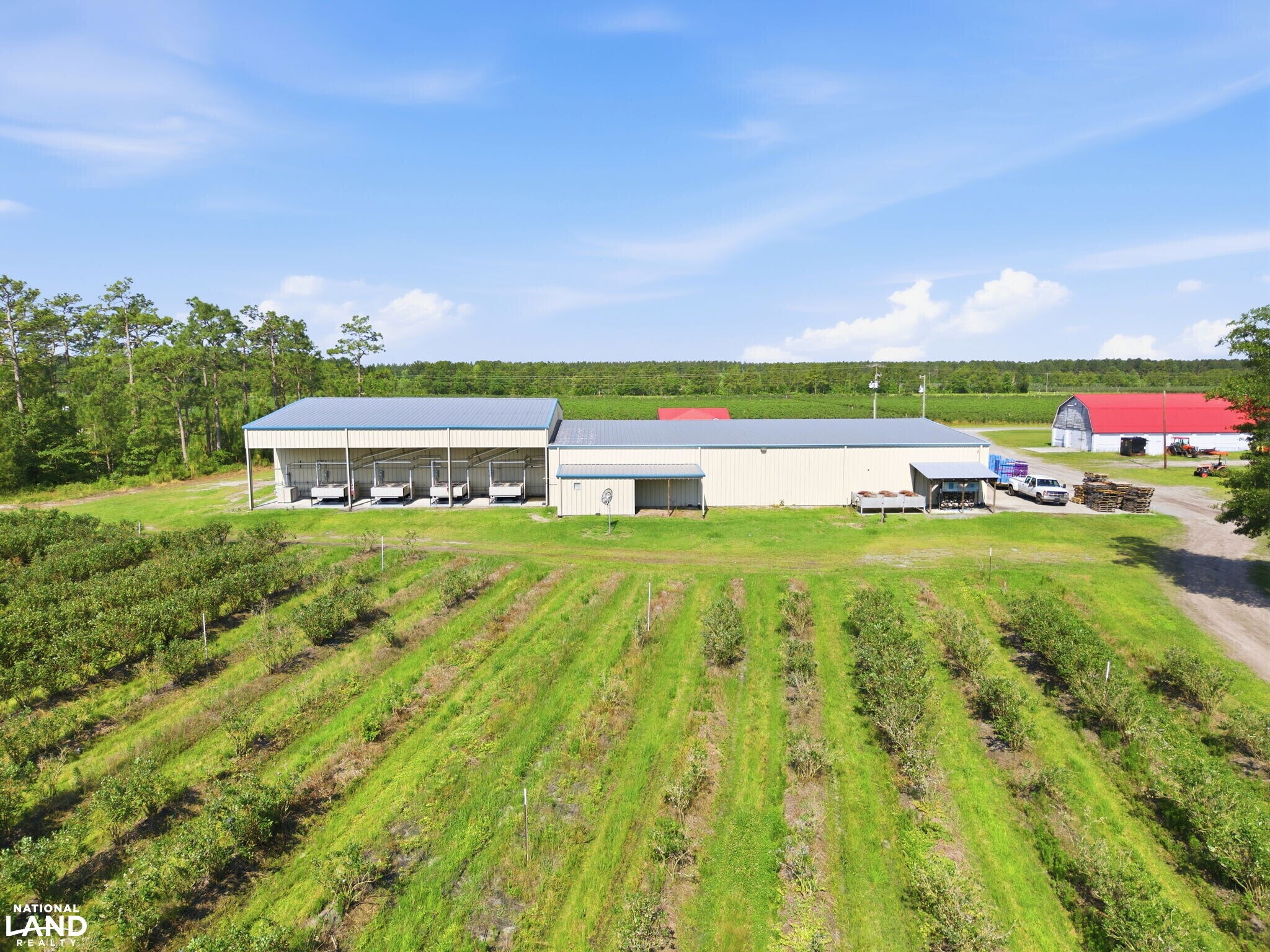 5478 Halfway Branch School rd, Ivanhoe, NC à vendre Photo principale– Image 1 sur 31