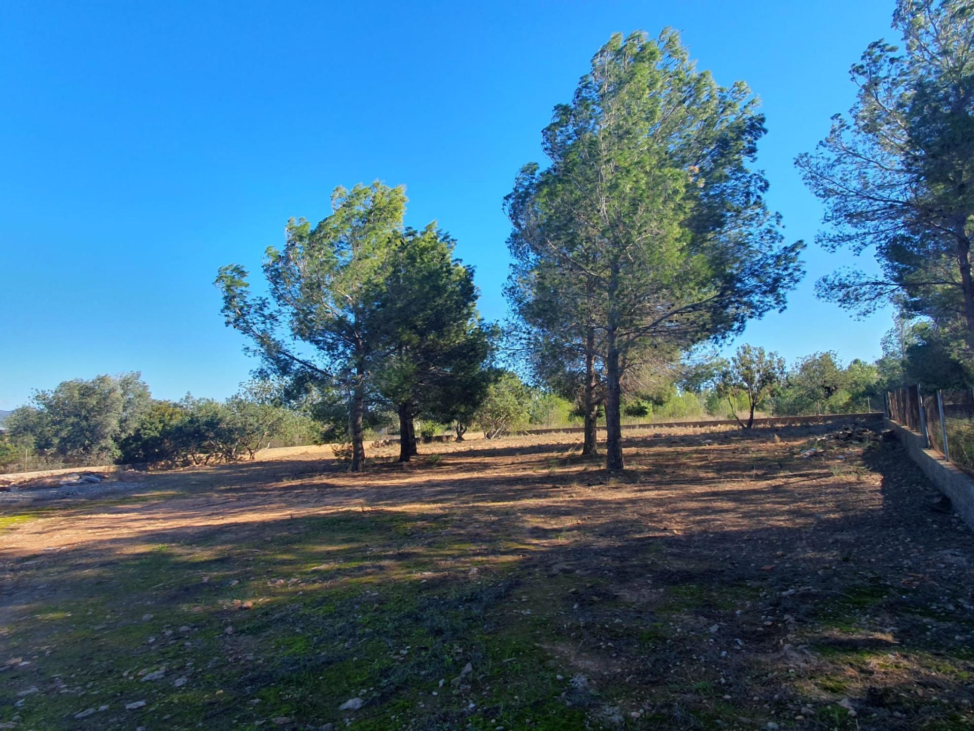 Terrain dans La Pobla de Vallbona, Valencia à vendre Photo principale– Image 1 sur 6
