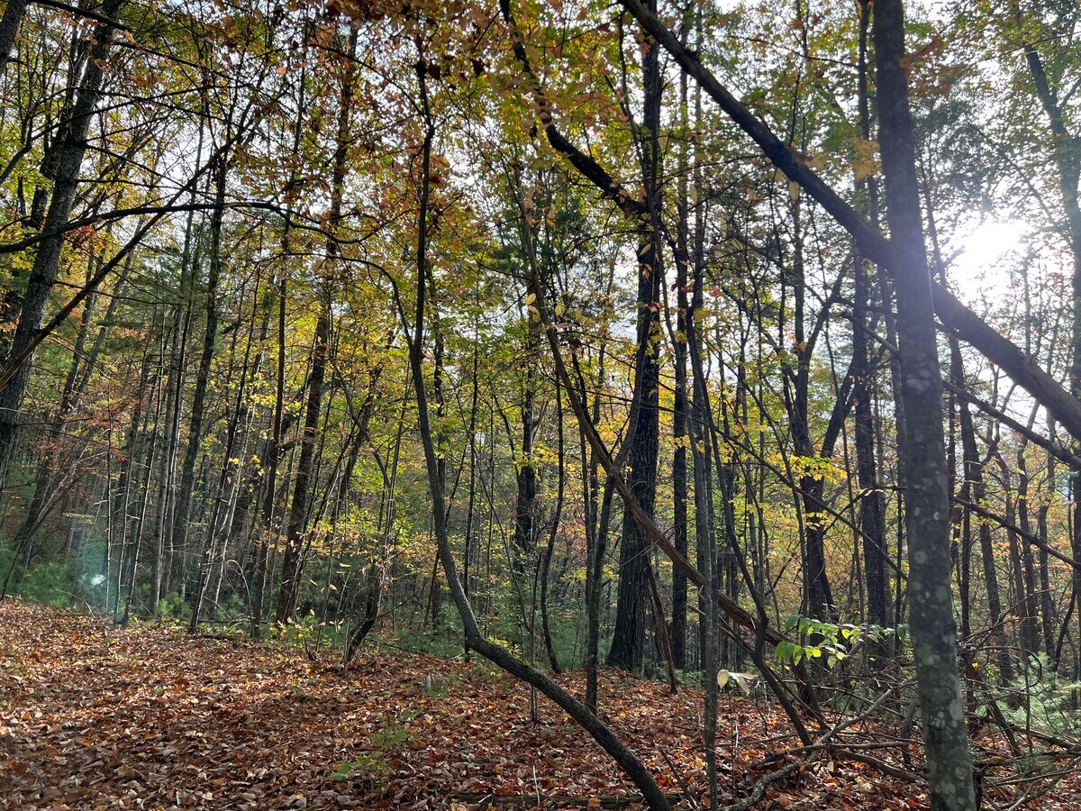 View Photo