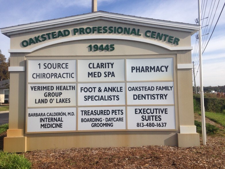 19337 Shumard Oak Dr, Land O' Lakes, FL à louer - Autre – Image 2 sur 5